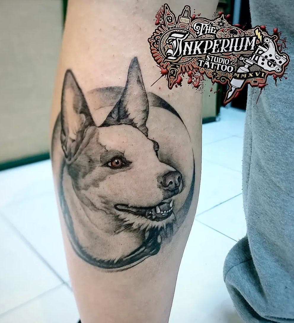 Daniel Sparks - Trabalho 27