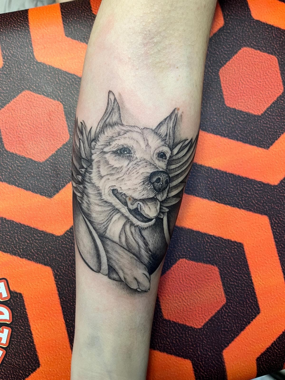 Daniel Sparks - Trabalho 4