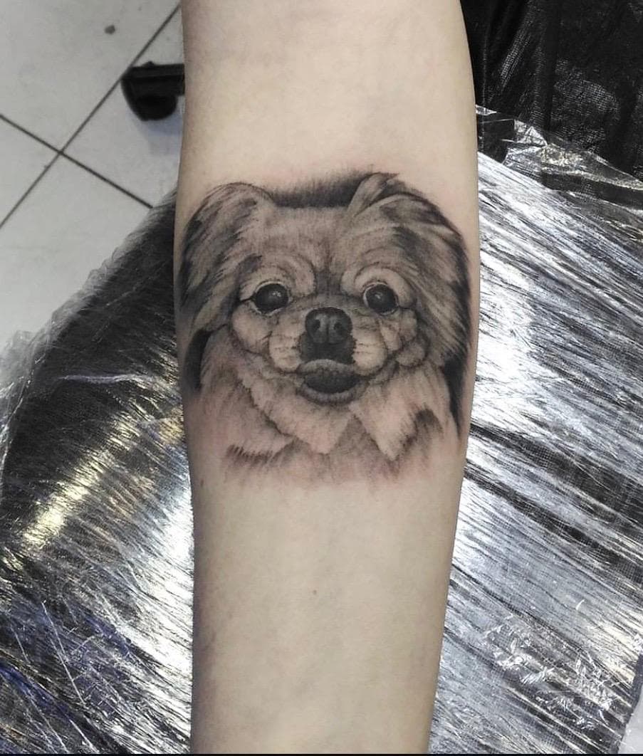 Daniel Sparks - Trabalho 42