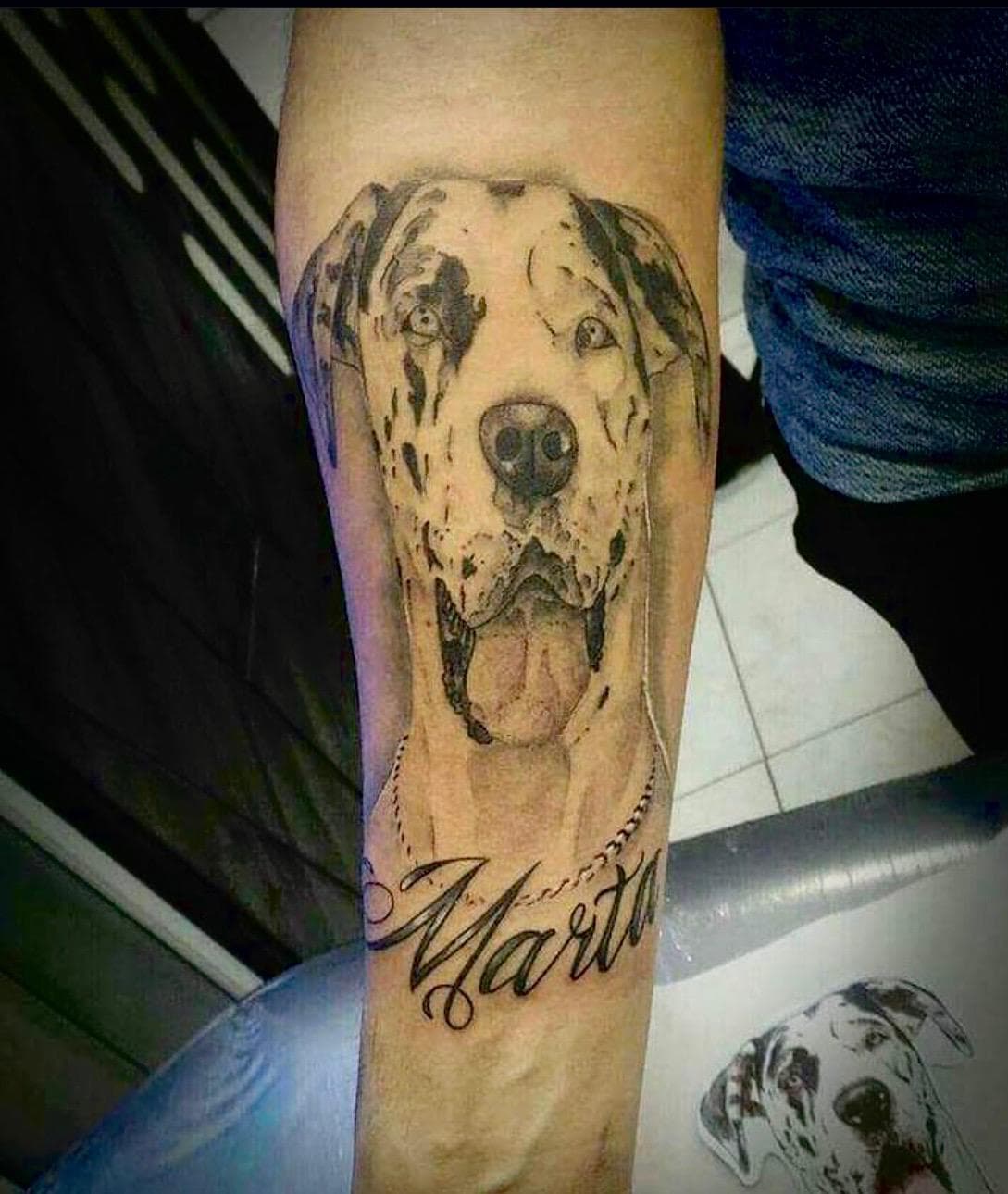 Daniel Sparks - Trabalho 44