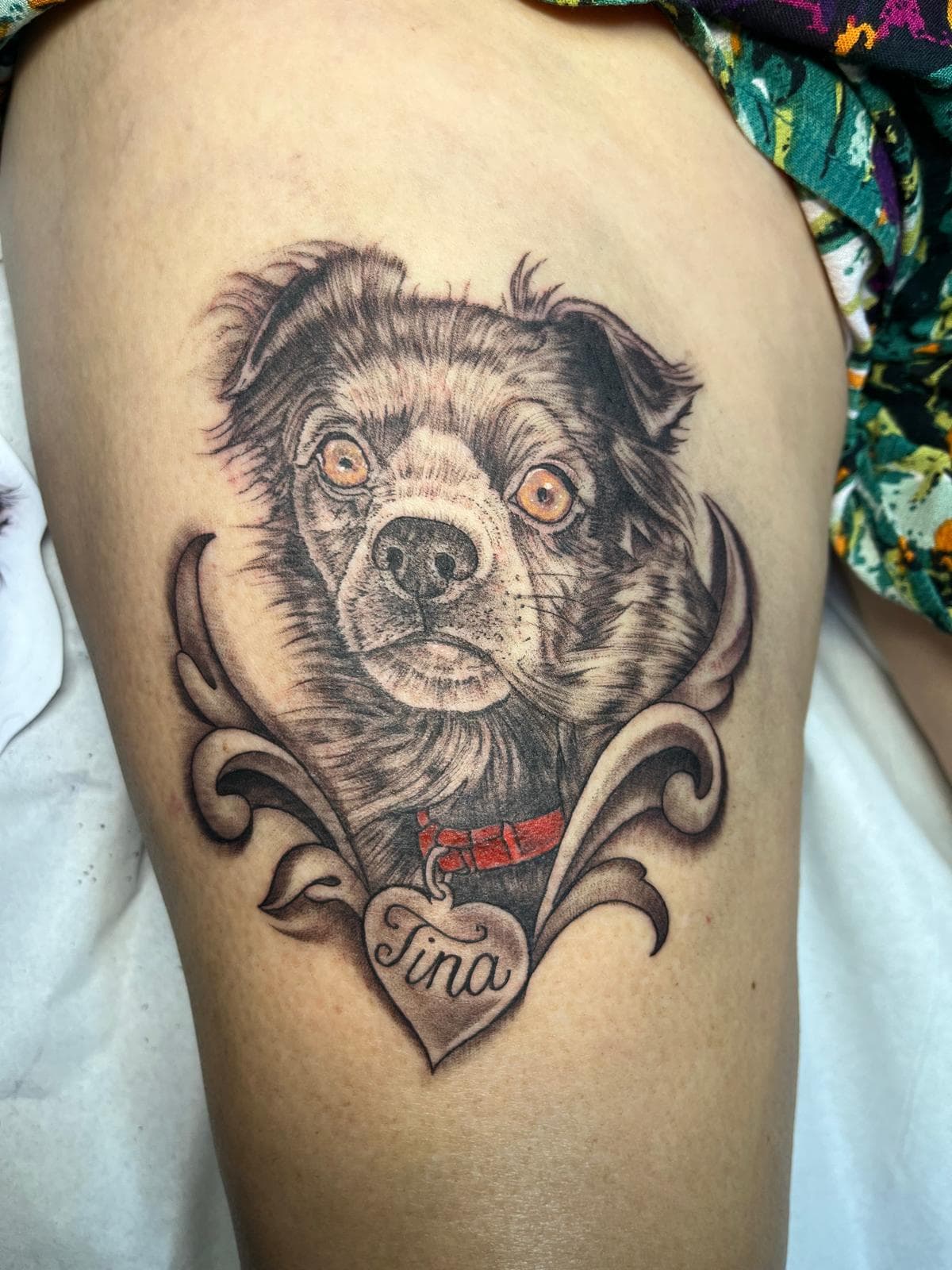 Daniel Sparks - Trabalho 8