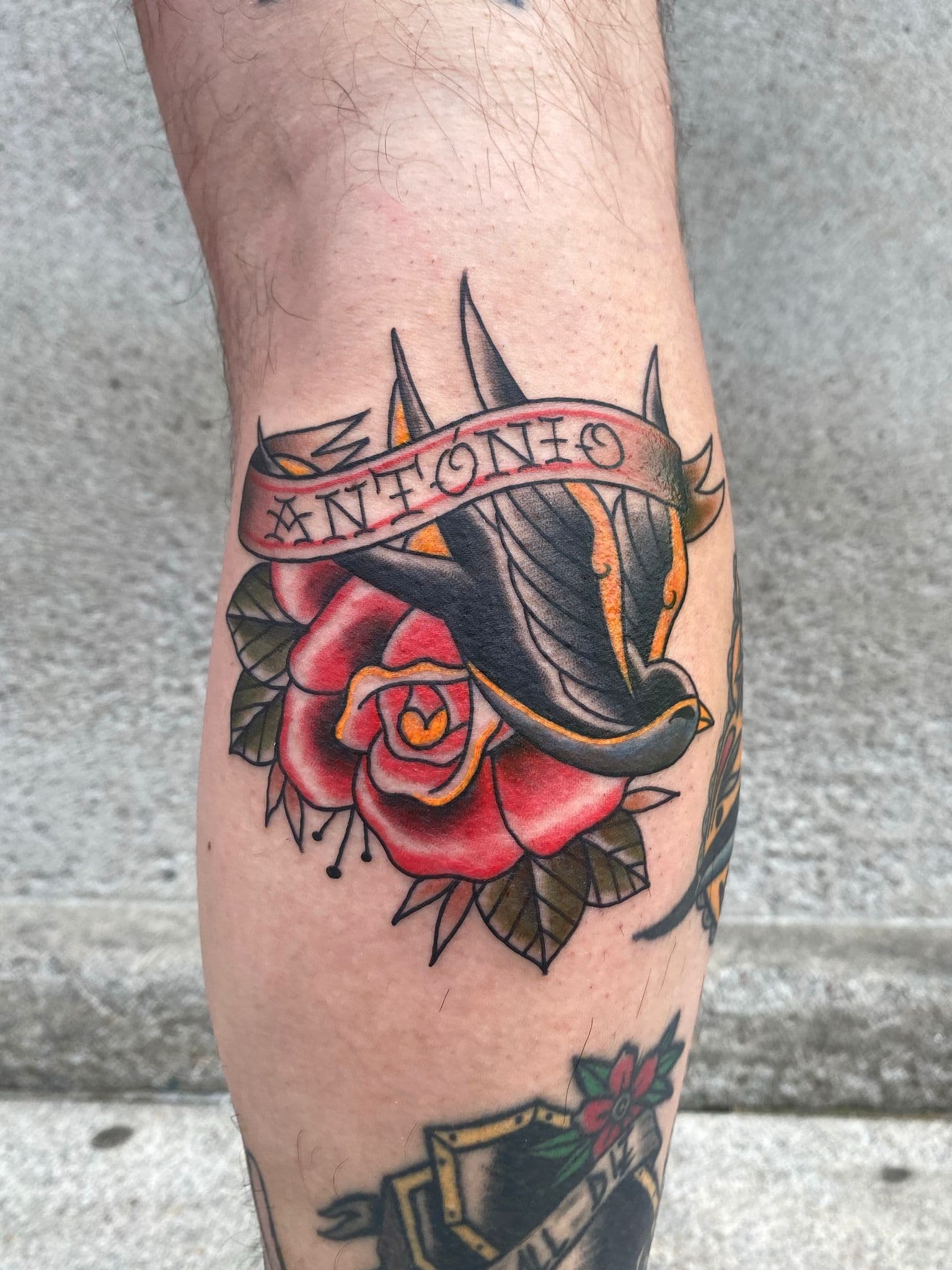 Vítor Vaz - Trabalho 1