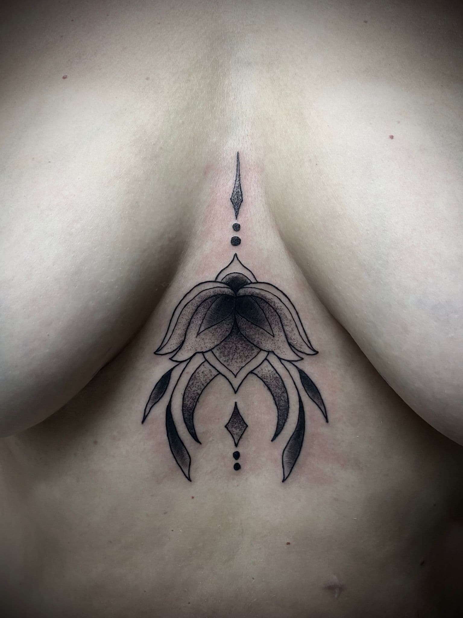 Vítor Vaz - Trabalho 25