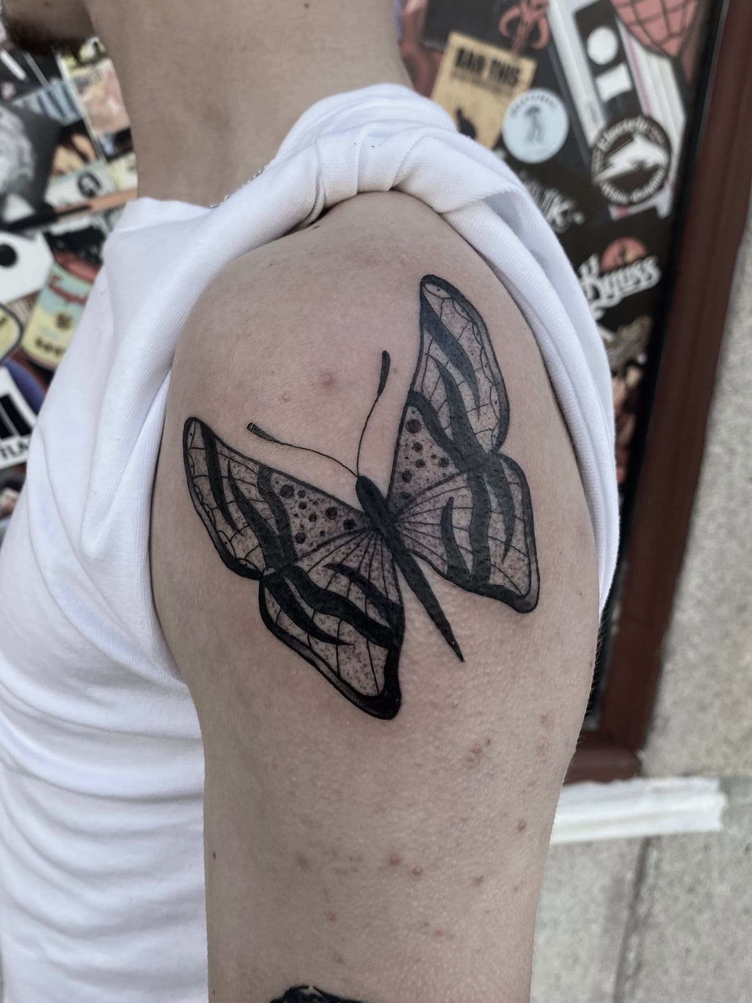 Vítor Vaz - Trabalho 5